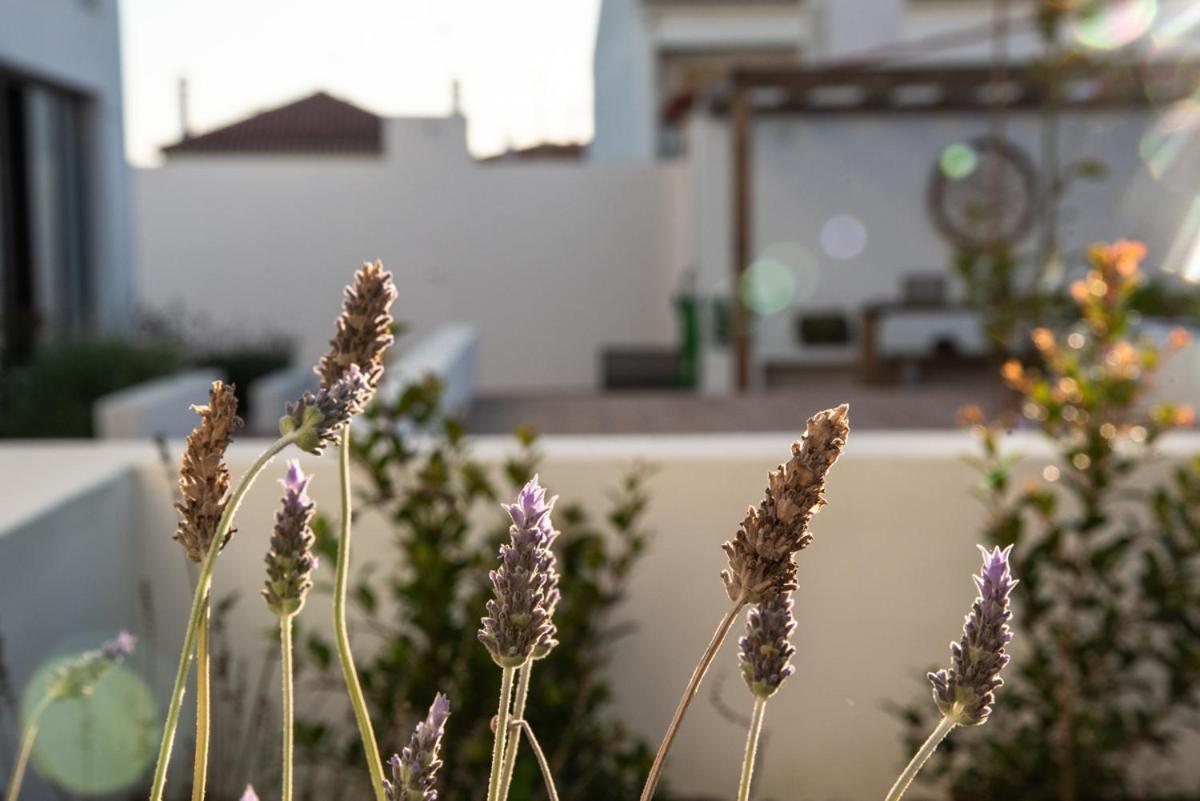 Vida Na Vila Vila Nova de Milfontes Buitenkant foto